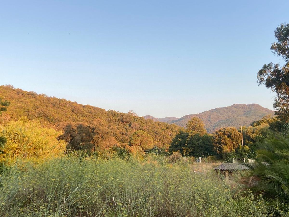 Les Lodges De La Plage U Dragulinu Sari-Solenzara Exterior foto